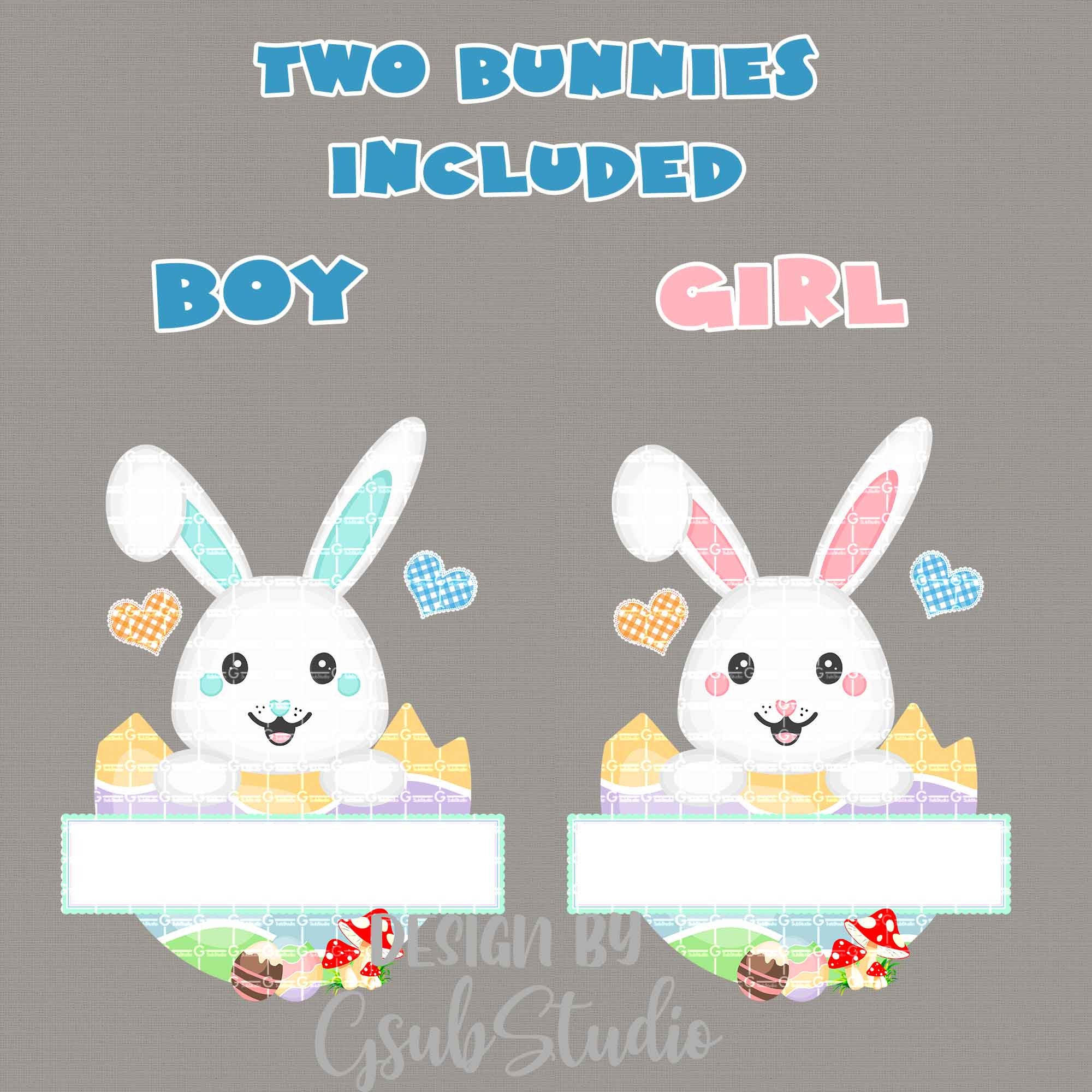 Easter Bunny PNG Sublimation Download